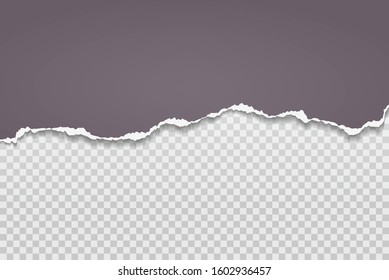 Torn, ripped pieces of horizontal dark grey paper with soft shadow are on white squared background for text. Vector illustration