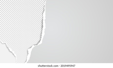 Torn, ripped squared and grey paper strips with soft shadow are on white background for text. Vector illustration