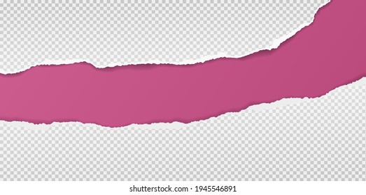 Torn, ripped squared paper strips with soft shadow are on violet background for text. Vector illustration