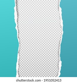 Torn, ripped vertical turquoise paper strips with soft shadow are on squared background for text. Vector illustration