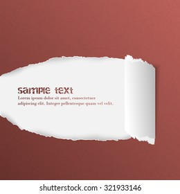 Torn rolled ripped paper, vector illustration with space for your text or creative editing