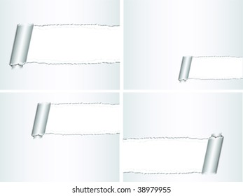  Torn rolled ripped paper vector with space for company name