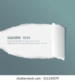 Torn rolled ripped paper/vector illustration with space for your text or creative editing