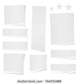 Torn ruled and blank note, notebook, paper strips, sheets for text or message stuck on white background.