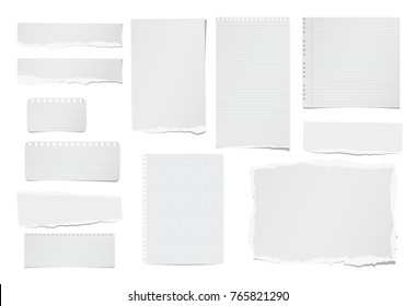 Torn ruled and blank note, notebook, paper strips, sheets for text or message stuck on white background.