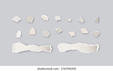 Torn scraps of paper. Print on gray background