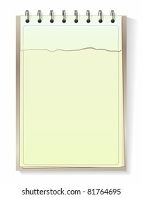 Torn sheet in blank notebook