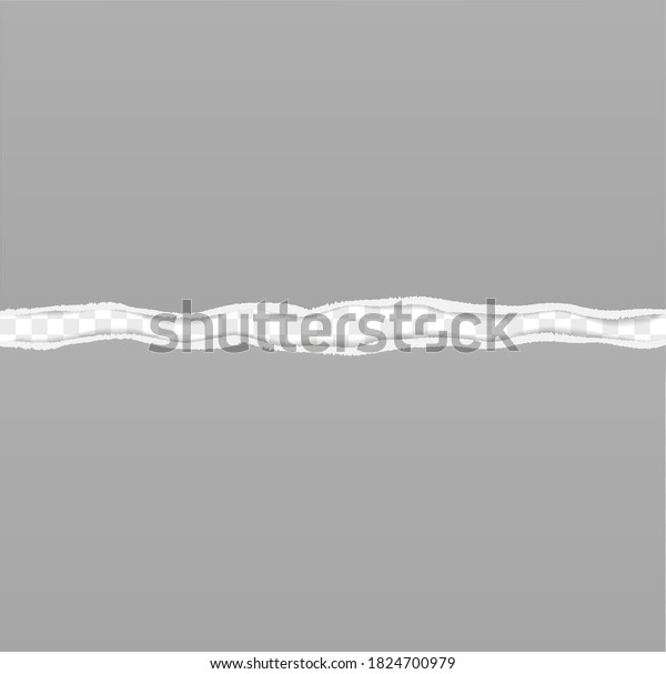 torn sheet of paper on transparent\
background vector illustration, layout design\
template