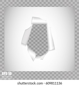 A torn sheet of white paper. On a transparent background. Tearing the sheet.