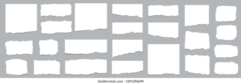 Torn sheets of paper. Torn paper strips set. Vector illustration