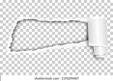 Torn, snatched hole in sheet of checkered transparent paper with paper curl. Vector paper mock up.