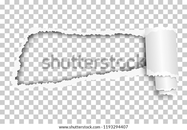 Torn, snatched hole in sheet\
of checkered transparent paper with paper curl. Vector paper mock\
up.