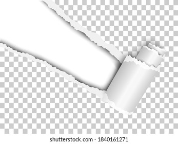 Torn, snatched window placed diagonally from upper left corner in checkered transparent vector paper with paper curl. White background of the resulting hole. Template paper design.