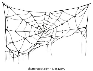 Torn spider web on white background. Vector illustration