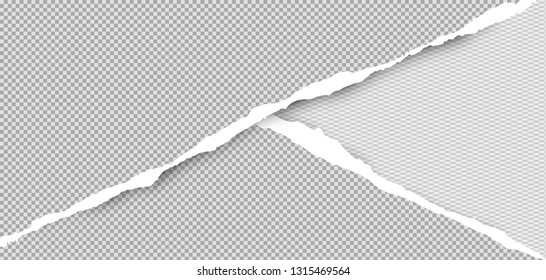Torn squared grey paper in corners are on background with space for text. Vector illustration