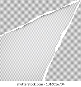 Torn squared grey paper in corners are on background with space for text. Vector illustration