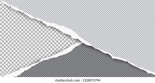 Torn squared grey paper in corners are on background with space for text. Vector illustration