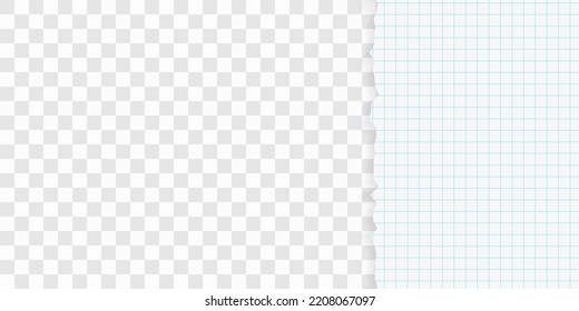 Torn squared paper edge vector illustration. Collage of 2 images. EPS 10, AI. Stock royalty free vector illustration