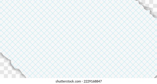 Torn squared paper edge vector illustration. Collage of 2 images. Stock royalty free vector illustration