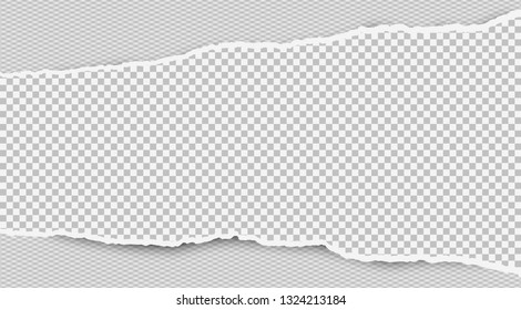 Torn squared white horizontal paper strip is on white background with space for text. Vector illustration