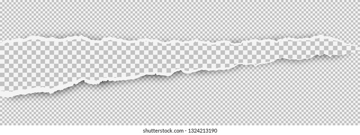 Torn squared white horizontal paper strip is on white background with space for text. Vector illustration