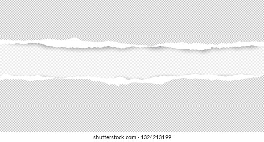 Torn squared white horizontal paper are on white background with space for text. Vector illustration