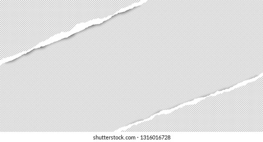 Torn squared white paper in corners are on background with space for text. Vector illustration