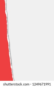 Torn from top to bottom vertical sheet of red A4 paper on white background. Vector paper template.