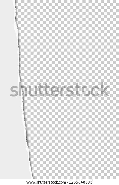 Torn from
top to bottom vertical sheet of white A4 paper placed on
transparent background. Vector paper
template.