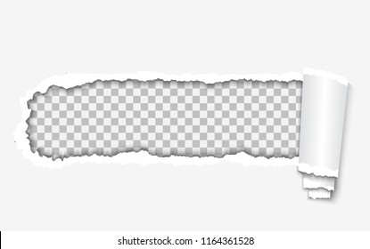 Torn and twisted paper strip with ripped edges on white background. Vector illustration.