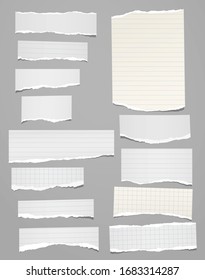 Torn of vertical white, lined note, notebook paper strips, pieces stuck on grey background. Vector illustration