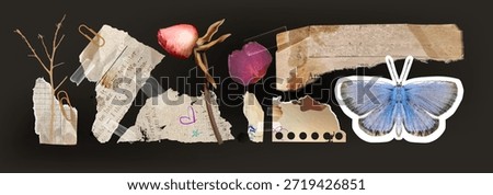 Torn vintage paper scraps with rip edges - scrapbook sticker elements with dry flower, butterfly cutout and paperclips. Aged newspapers, tape marks and distressed cardboard fragments for collage.