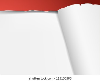 Torn wallpaper with place for text. Part of vector background set.