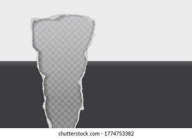 Torn of white and black horizontal paper hole with soft shadow, frame for text are on grey squared background. Vector illustration