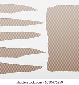 Torn white empty paper for text stuck on brown squared background. Vector illustration