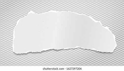 Torn white grainy note, notebook paper strip, piece stuck on squared background. Vector illustration