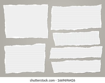 Torn of white lined, math note, notebook paper strips, pieces stuck on grey background. Vector illustration