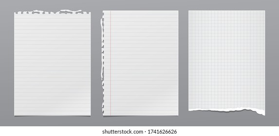 Torn of white, lined and squared note, notebook paper with soft shadow stuck on grey background. Vector illustration