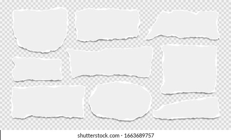 Torn white note, notebook paper strips, pieces stuck with sticky tape on grey squared background. Vector illustration