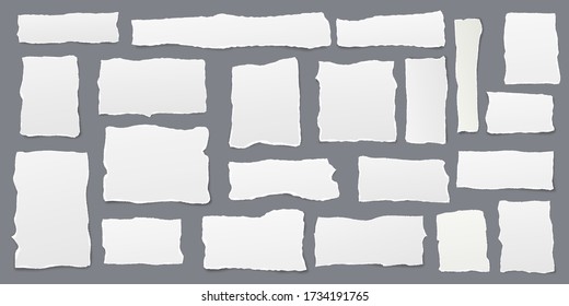 Torn of white note, notebook paper strips, pieces with soft shadow stuck on grey background. Vector illustration