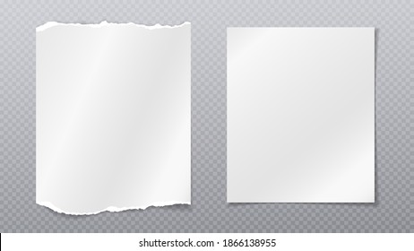 Desgarrado de notas blancas, el papel de cuaderno está sobre fondo gris transparente para texto, publicidad o diseño. Ilustración del vector