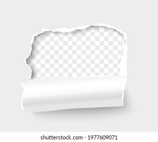 Torn white paper frame for text on transparent background. Breakthrough paper square with rolled side realistic vector illustration