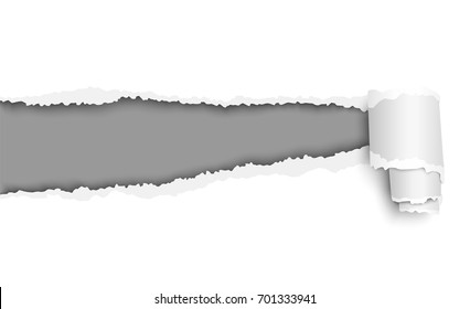 Torn white sheet of paper with soft shadow, curl and gray background in the resulting hole. Vector template paper design.