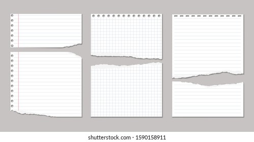 Torn white, squared and lined note, notebook paper pieces stuck on grey background. Vector illustration