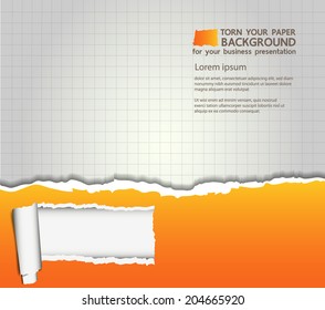 Torn your paper Background for your business presentation