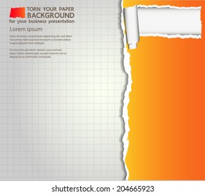 Torn your paper Background for your business presentation