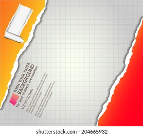Torn your paper Background for your business presentation