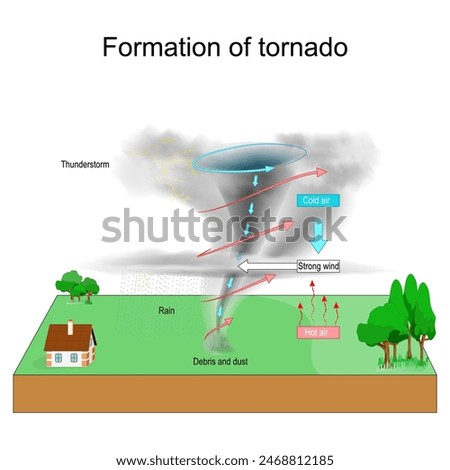 Tornado formation. Severe Weather. Tornadogenesis. Thunderstorm. Vector illustration
