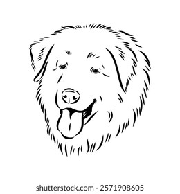 tornjac dog, vector, realistic vector sketch isolated on white