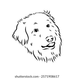 tornjac dog, vector, realistic vector sketch isolated on white